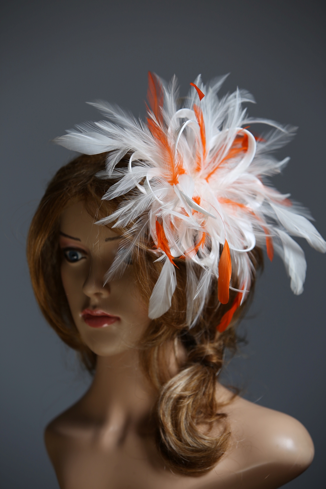 IMG_7310IMG_7310IMG_7310