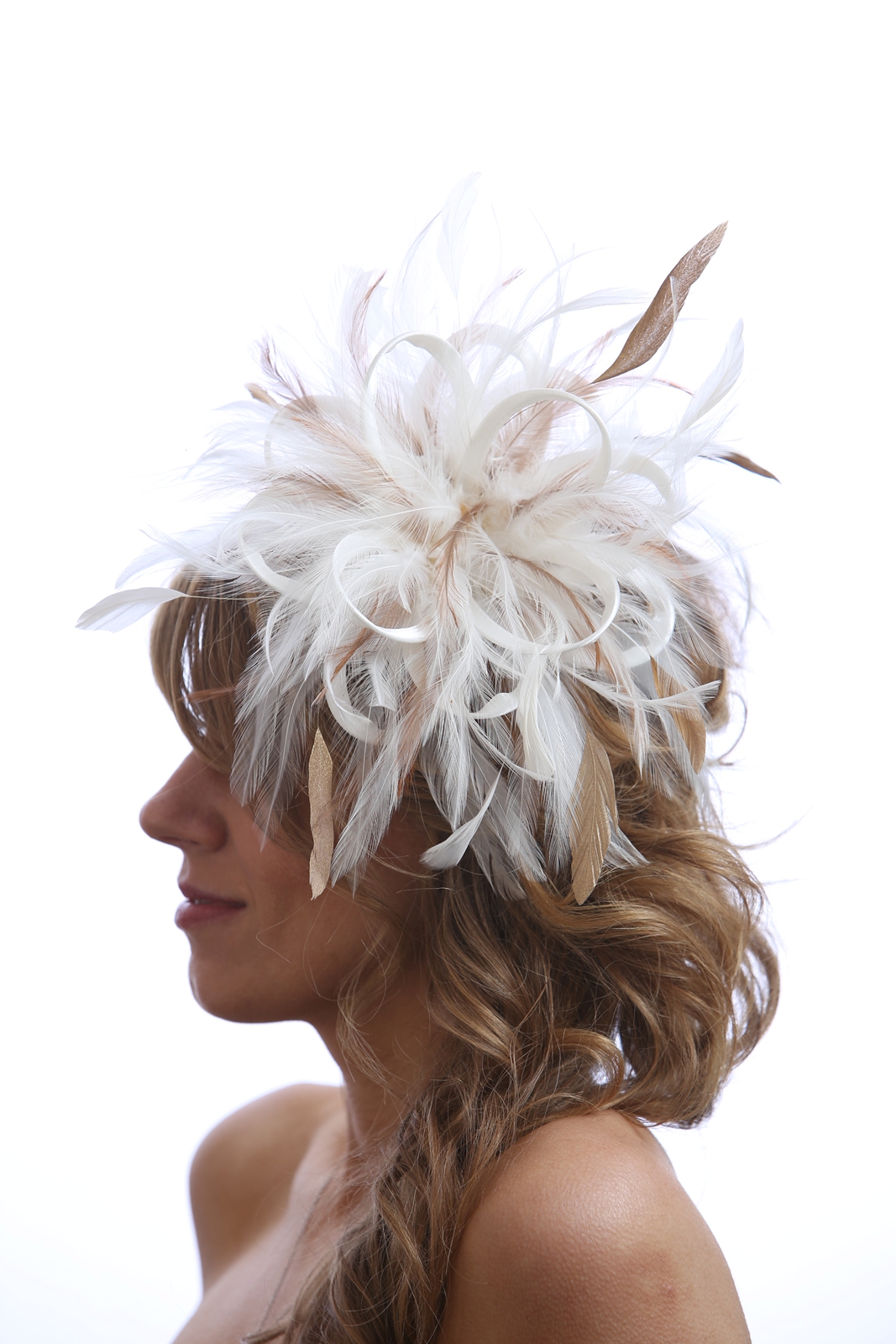 IMG_8018IMG_8018IMG_8018