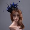 royal blue and black feather mount on a silver halo crown