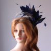 royal blue and black feather mount on a silver halo crown