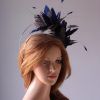 royal blue and black feather mount on a silver halo crown