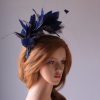 royal blue and black feather mount on a silver halo crown